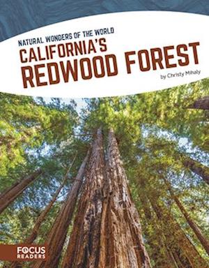 Natural Wonders: California's Redwood Forest