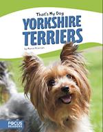 That's My Dog: Yorkshire Terriers