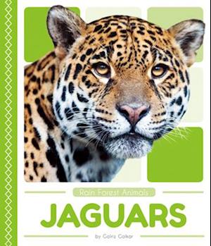 Rain Forest Animals: Jaguars