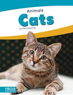 Animals: Cats