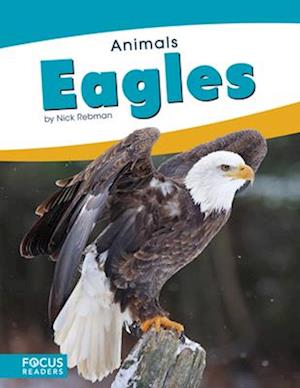 Animals: Eagles