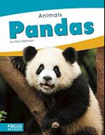 Animals: Pandas