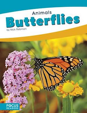 Animals: Butterflies