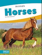 Animals: Horses