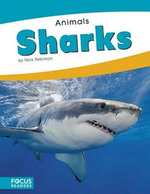 Animals: Sharks