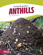 Animal Engineers: Anthills