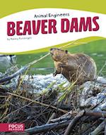 Animal Engineers: Beaver Dams