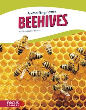 Animal Engineers: Beehives