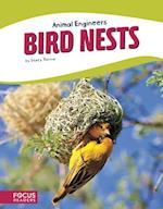 Animal Engineers: Birds Nests