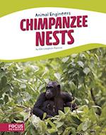 Animal Engineers: Chimpanzee Nests