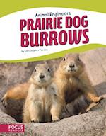 Animal Engineers: Prairie Dog Burrows
