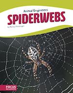 Animal Engineers: Spiderwebs