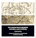 Palladian Space-Neurons and Other Roots of Infinity