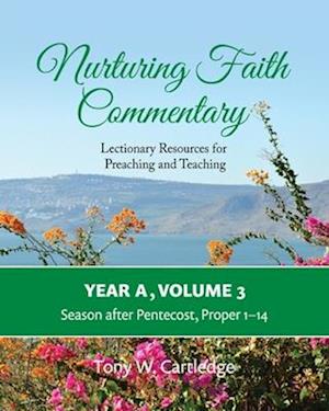 Nurturing Faith Commentary, Year A, Volume 3