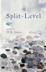 Split-Level