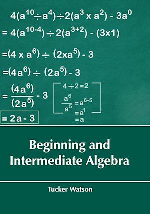 Beginning and Intermediate Algebra