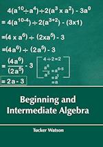 Beginning and Intermediate Algebra