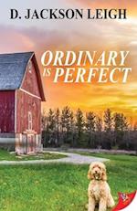 Ordinary Is Perfect
