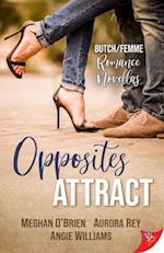 Opposites Attract: Butch/Femme Romances 