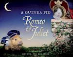A Guinea Pig Romeo & Juliet