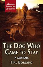 The Dog Who Came to Stay