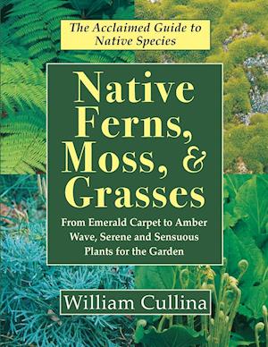 Native Ferns, Moss, and Grasses