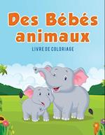 Des Bebes Animaux