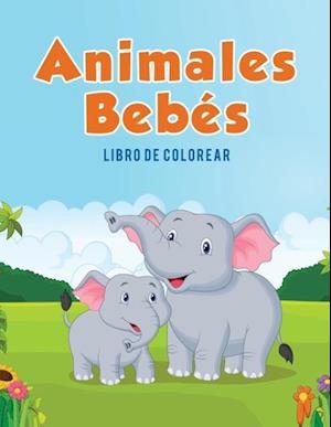 Animales Bebes