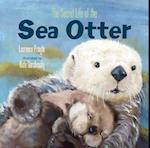The Secret Life of the Sea Otter