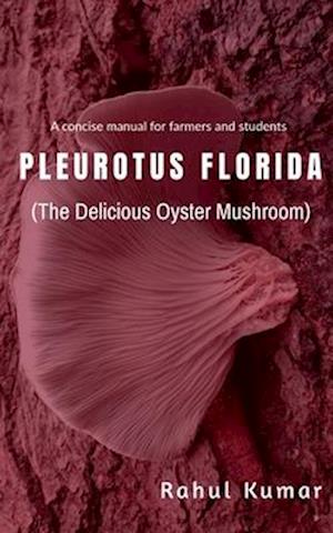 Plurotus Florida