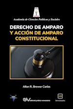 DERECHO DE AMPARO Y ACCIÓN DE AMPARO CONSTITUCIONAL