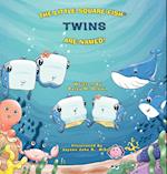 The Little Square Fish Twins Are Named
