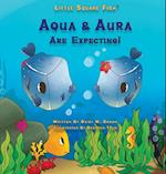 Little Square Fish Aqua & Aura Are Expecting! 