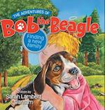 The Adventures of Bob the Beagle: Finding A New Family 