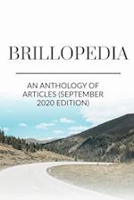 Brillopedia 