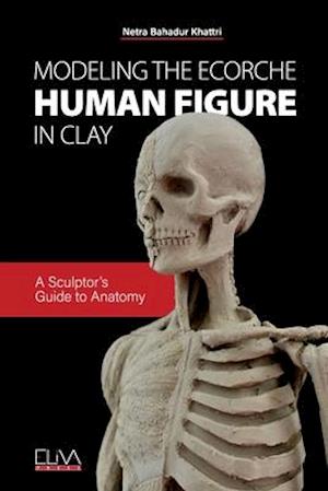 Modeling the Ecorche Human Figure in Clay: A Sculptor's Guide to Anatomy