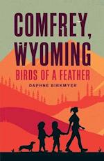 Comfrey, Wyoming 