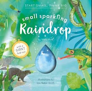 Small Sparkling Raindrop (Start Small, Think Big #5)