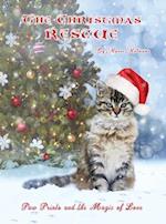 The Christmas Rescue