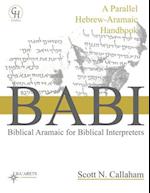 Biblical Aramaic for Biblical Interpreters: A Parallel Hebrew-Aramaic Handbook 