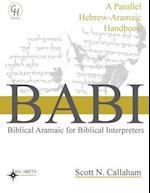 Biblical Aramaic for Biblical Interpreters: A Parallel Hebrew-Aramaic Handbook 