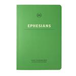 Lsb Scripture Study Notebook