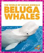 Beluga Whales