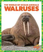 Walruses