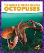 Octopuses