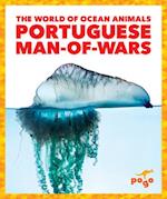 Portuguese Man-Of-Wars