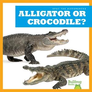 Alligator or Crocodile?