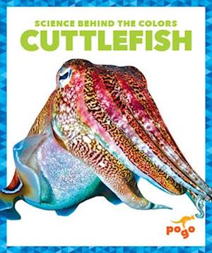 Cuttlefish