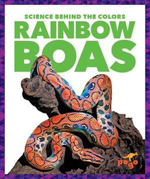 Rainbow Boas