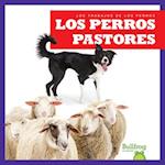 Los Perros Pastores (Herding Dogs)